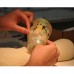 Medienos kietiklis PARALOID B72 1L 10% Medienos kietiklis PARALOID B72 1L 10%